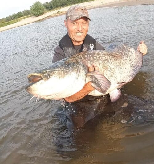 Peter de Weert met een hele grote meerval van 178 cm in zijn handen op de rivier.