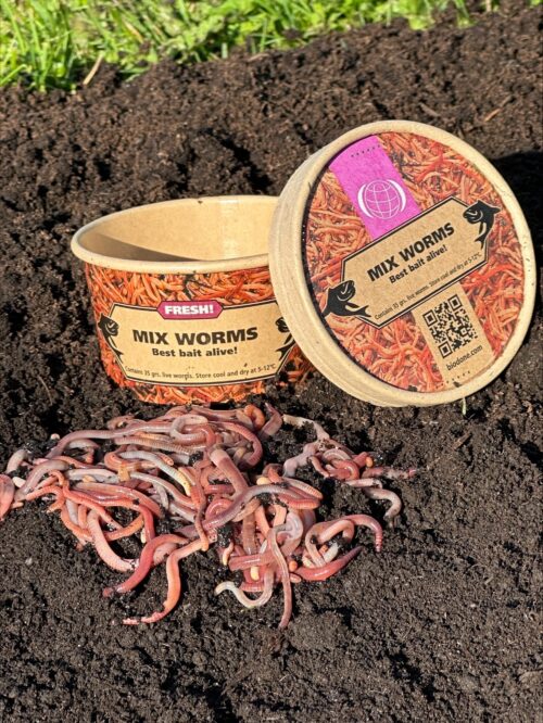 Er staat een bakje me een mix van viswormen op donkere grond. Op het bakje staat de tekst: "Mix worms".