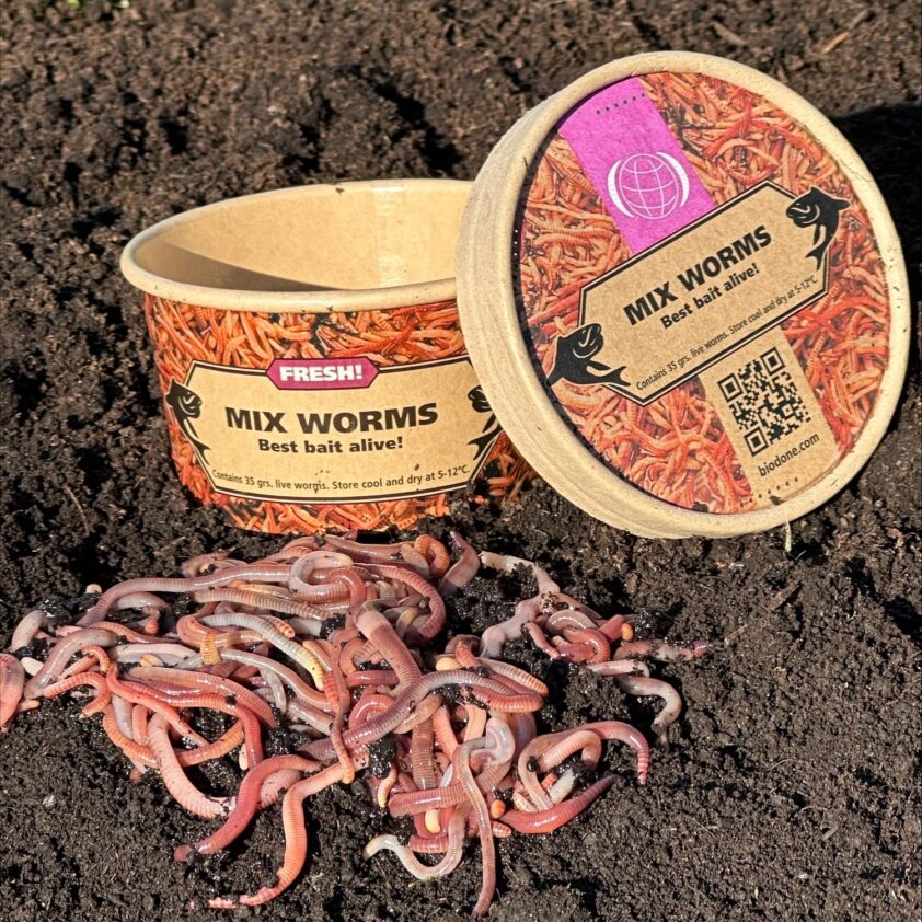 Er staat een bakje me een mix van viswormen op donkere grond. Op het bakje staat de tekst: "Mix worms".